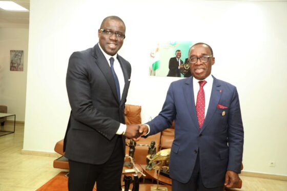 Audience avec Monsieur Eugène AKA AOUELE, Président du Conseil Économique, Social, Environnemental et Culturel (CESEC), à Abidjan